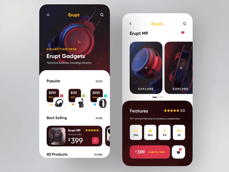 portfolio